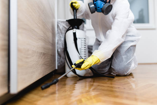 Best Bed Bug Extermination  in Tuscola, IL