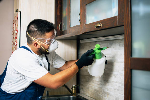 Best Pest Inspection Near Me  in Tuscola, IL