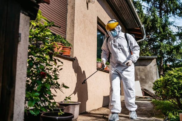 Best Wasp Removal Services  in Tuscola, IL