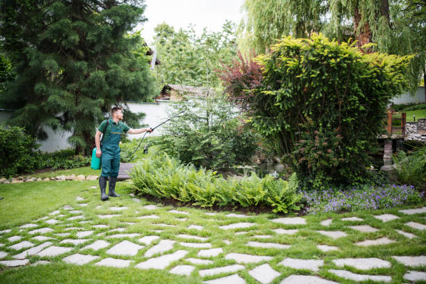 Best Mosquito Control Services  in Tuscola, IL