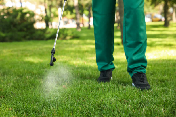 Best Commercial Pest Control Services  in Tuscola, IL