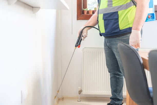 Best Termite Control Services  in Tuscola, IL