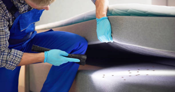 Best Flea Control Services  in Tuscola, IL