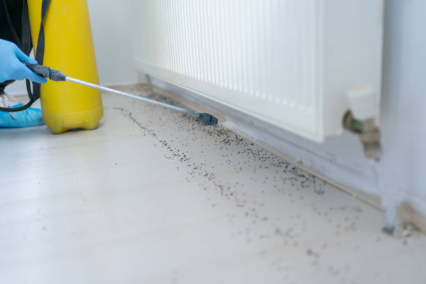 Best Pest Control for Businesses  in Tuscola, IL