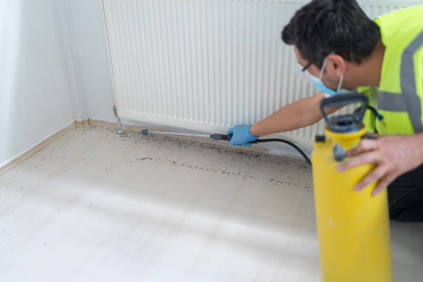 Best Pest Control for Homes  in Tuscola, IL