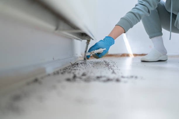 Best Pest Prevention Services  in Tuscola, IL